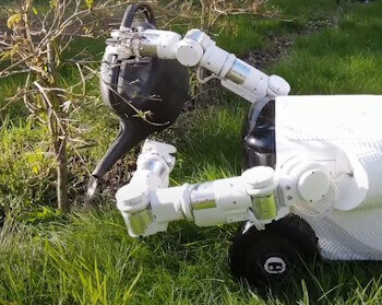 EEVE Willow X Pro Outdoor Robot with Arms